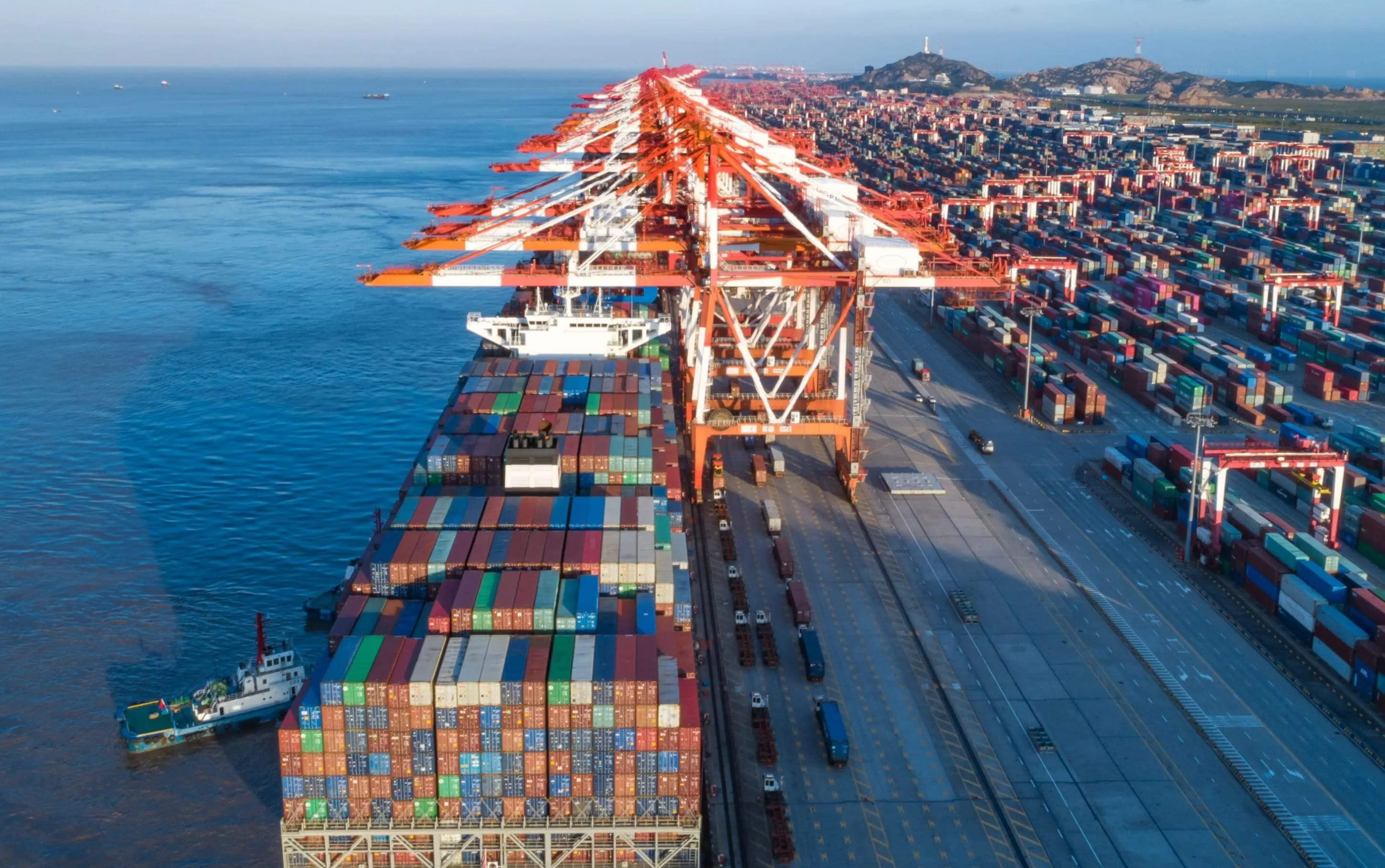 bg-customs-brokerage-services